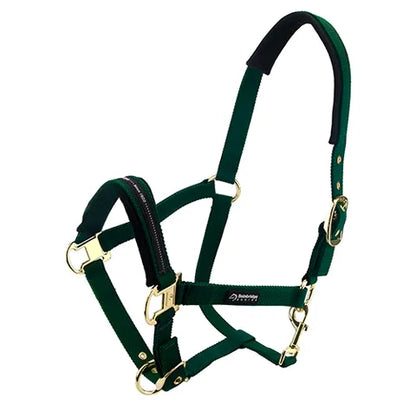 Horse Halter - Padded