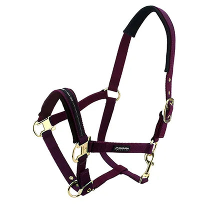 Horse Halter - Padded