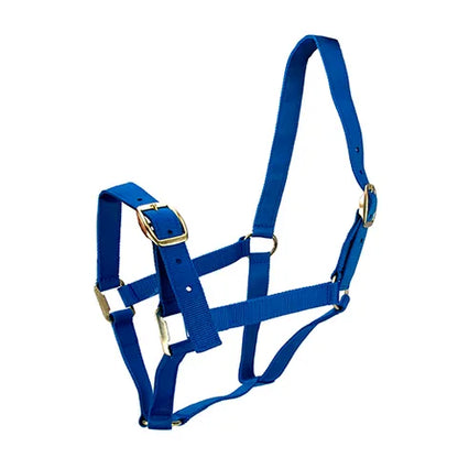 Horse Halter
