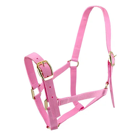 Horse Halter