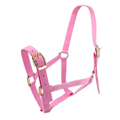 Horse Halter