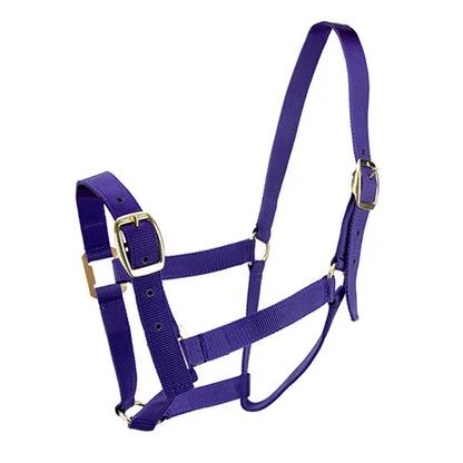 Horse Halter