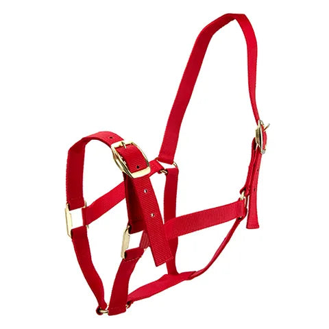 Horse Halter
