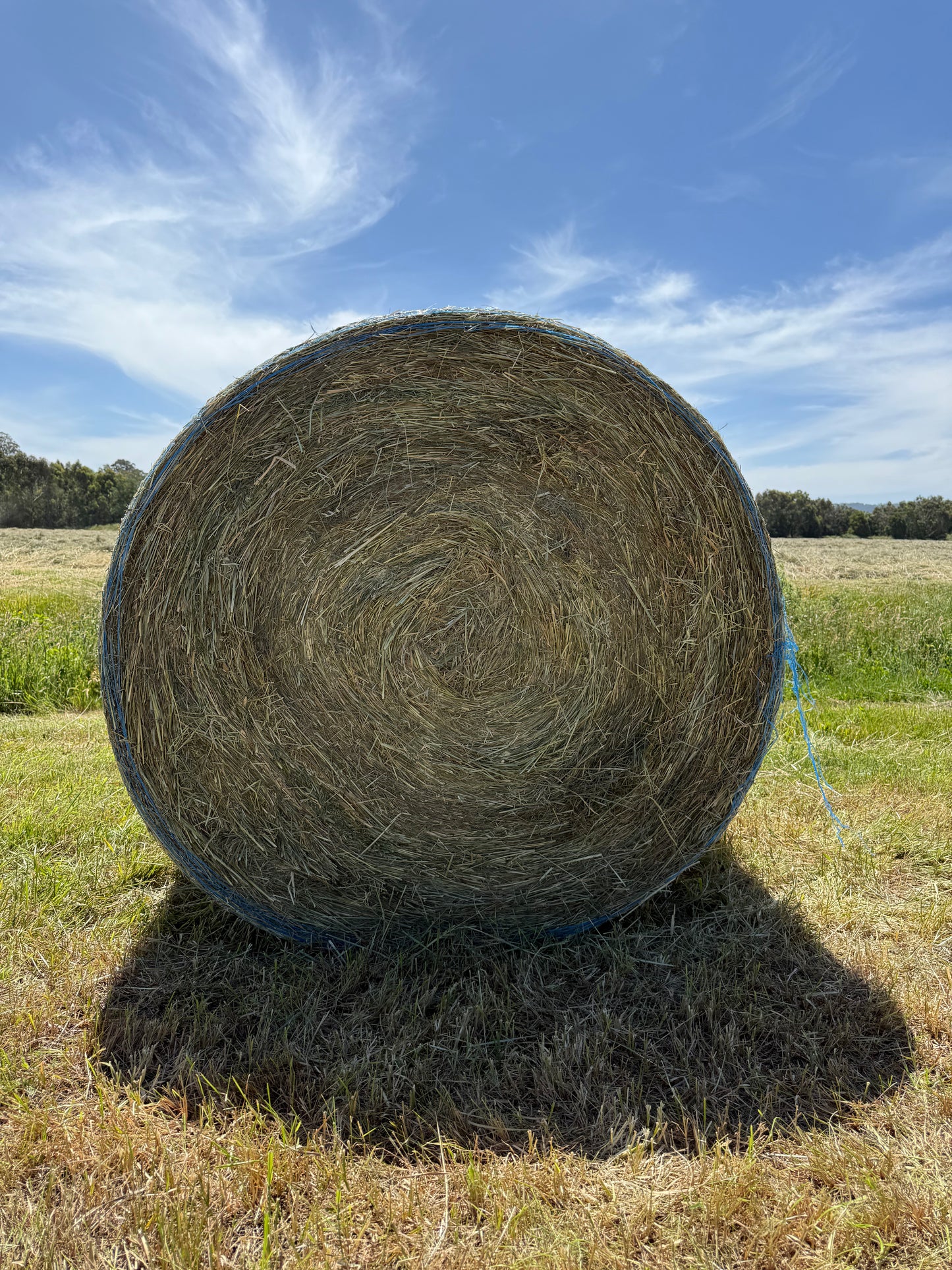 Hay Rounds - 5 x 4 Cocksfoot + Sweet Vernal blend