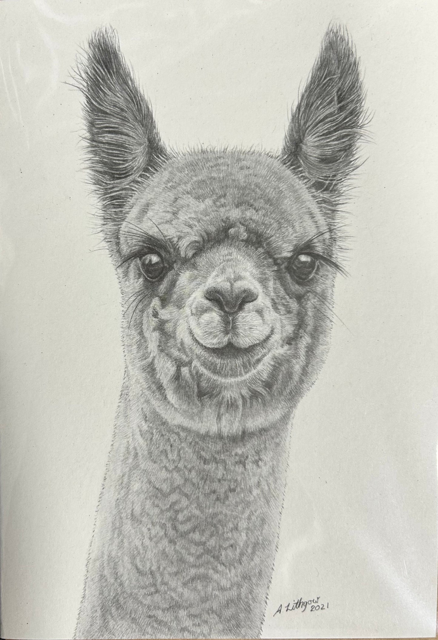 Greeting Cards