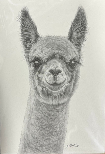 Greeting Cards