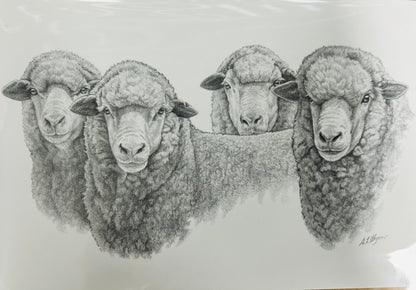 Greeting Cards