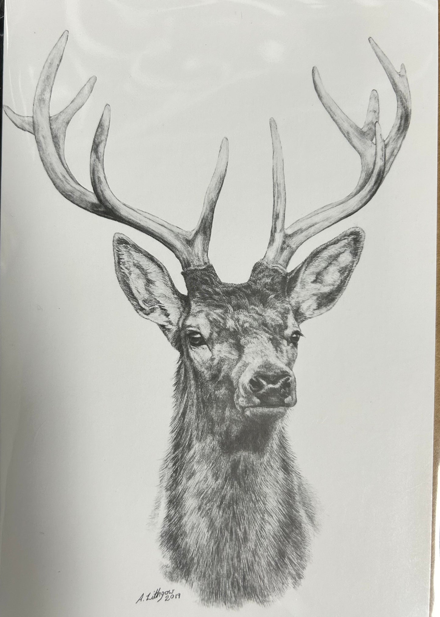 Greeting Cards