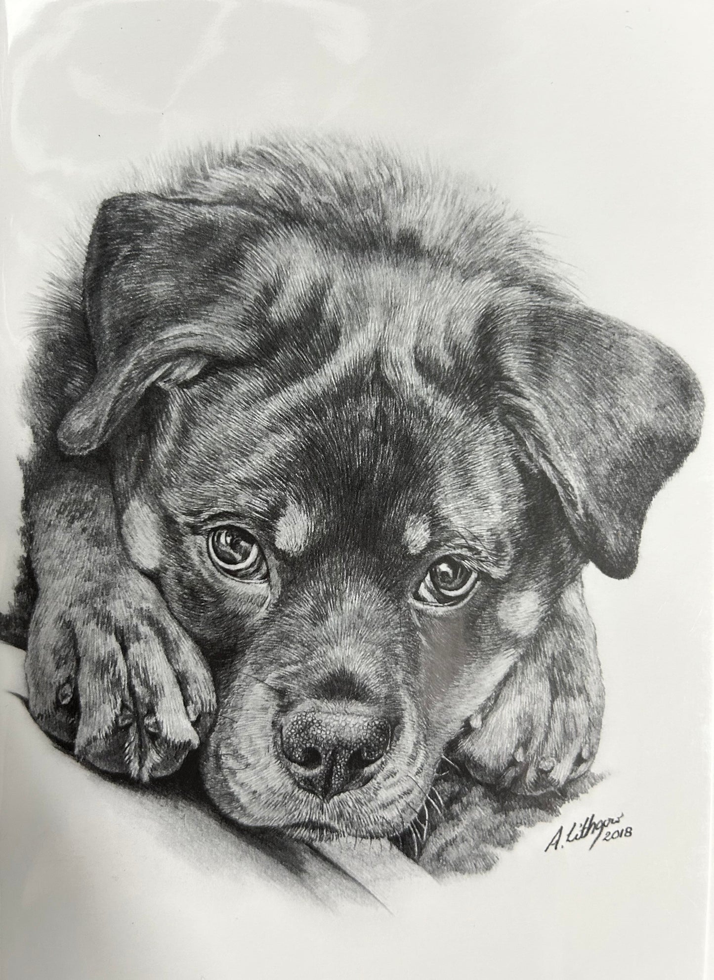 Greeting Cards