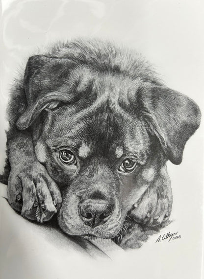 Greeting Cards