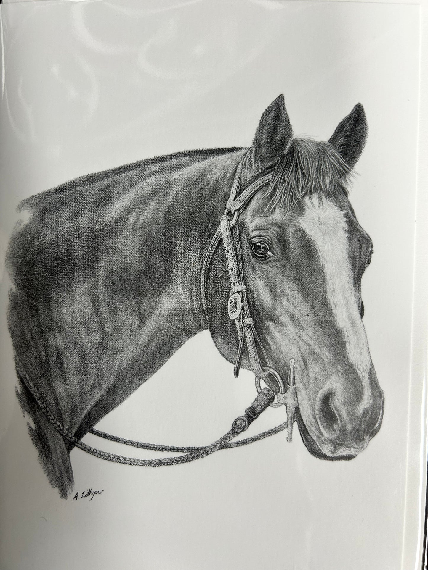 Greeting Cards