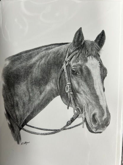 Greeting Cards