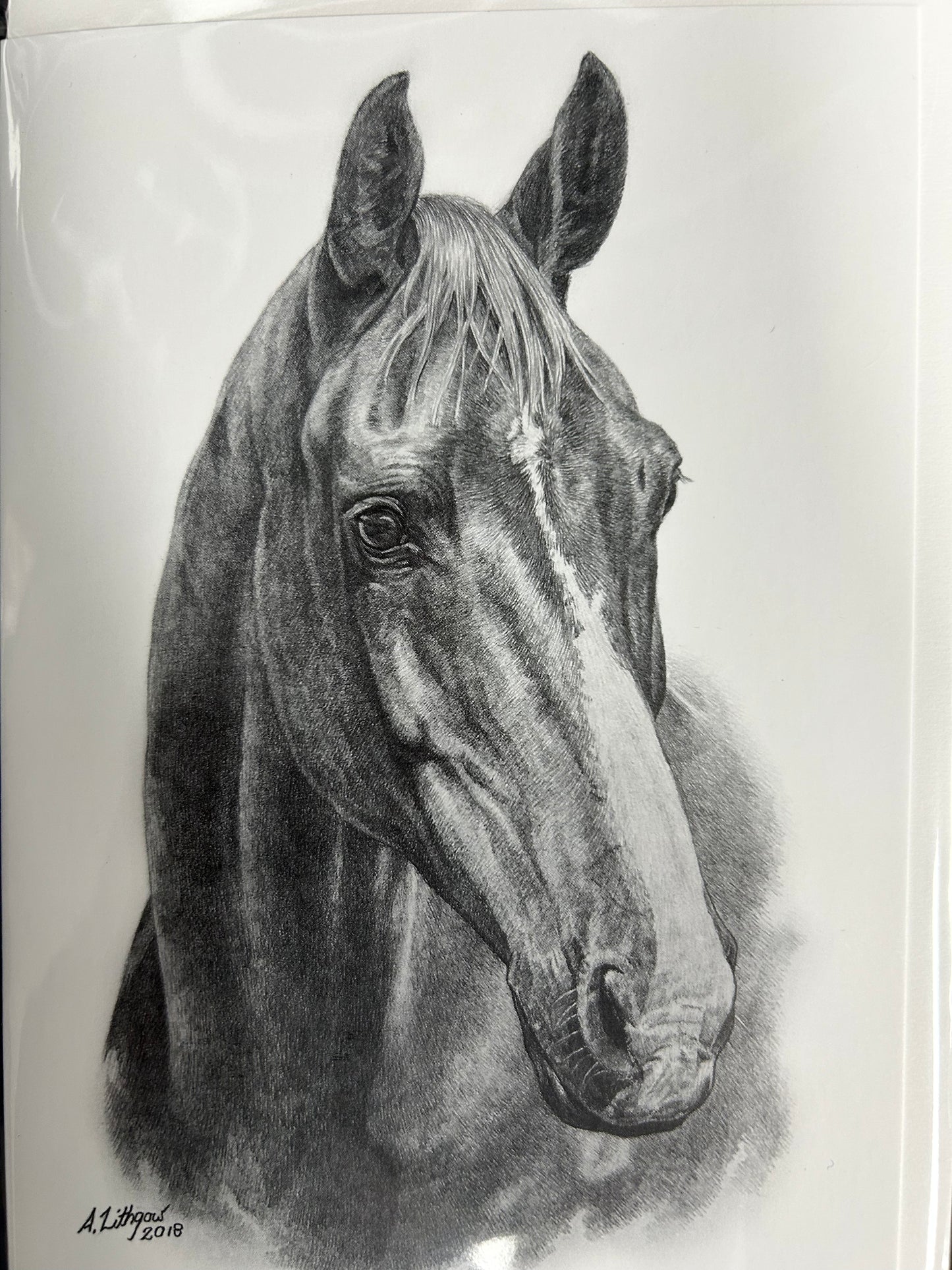 Greeting Cards