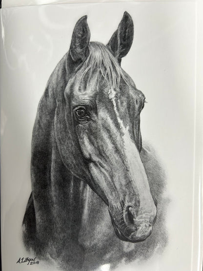 Greeting Cards
