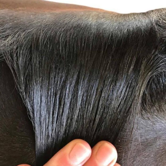 Hairy Pony - Plaiting Taming Wax