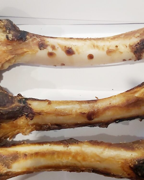 Lamb Femur