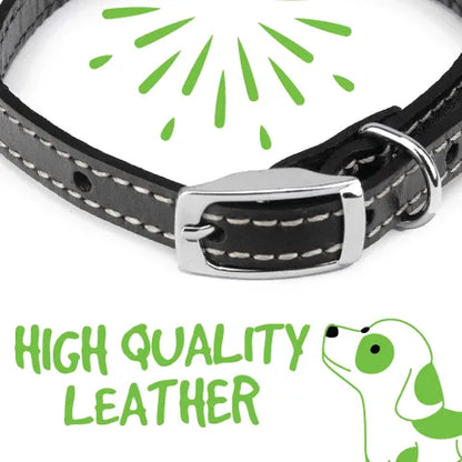 Leather Collar