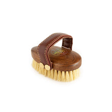 Hairy Pony - Mini Mud Brush
