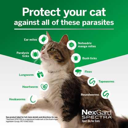NexGard Spectra - Spot On for Cats & Kittens