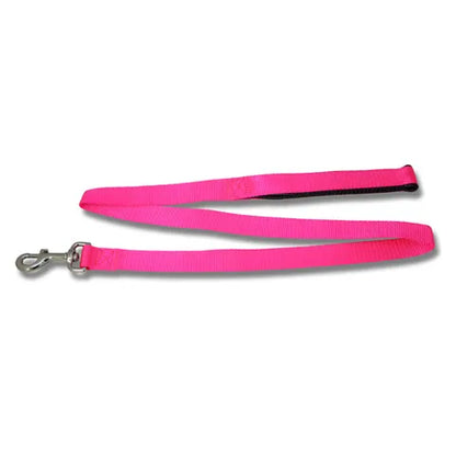Padded Webbed Dog Lead