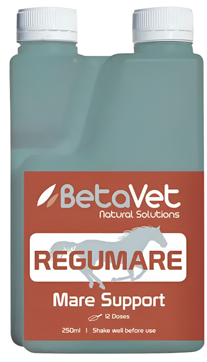 BetaVet - Regumare