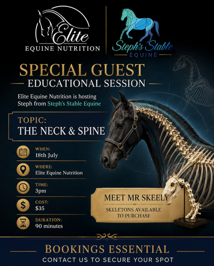 Steph's Stable Equine – General Admission Ticket