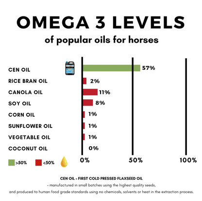 CEN Oil