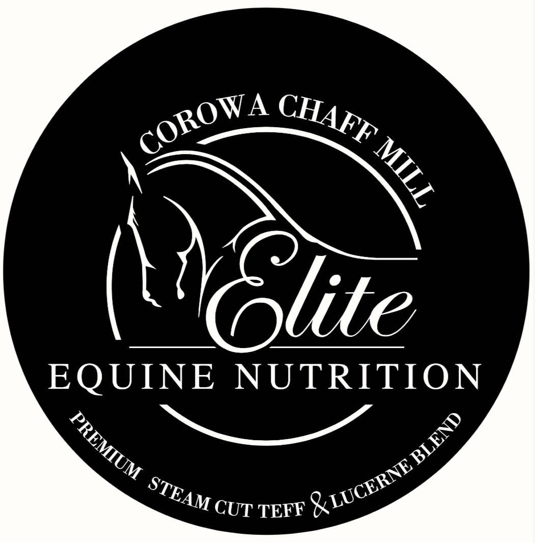 Elite Equine Nutrition -  Low Sugar 25/75 Lucerne & Teff Chaff Blend