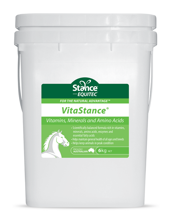 Stance Equitec - VitaStance