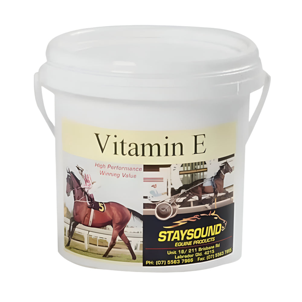 Stay Sound - Vitamin E