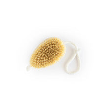 Hairy Pony - Wash Bay Brush