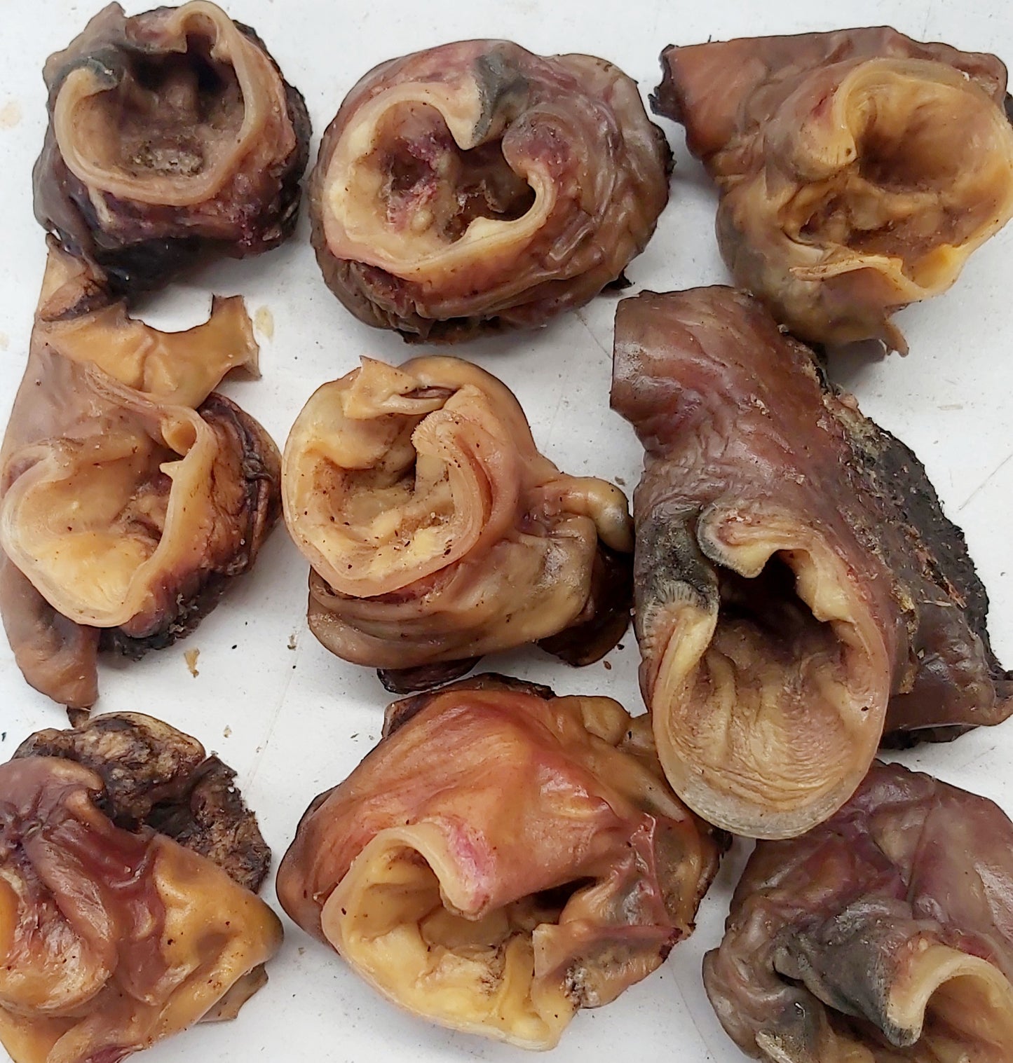 Beef Ear Scrolls