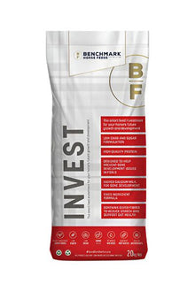 Benchmark - Invest