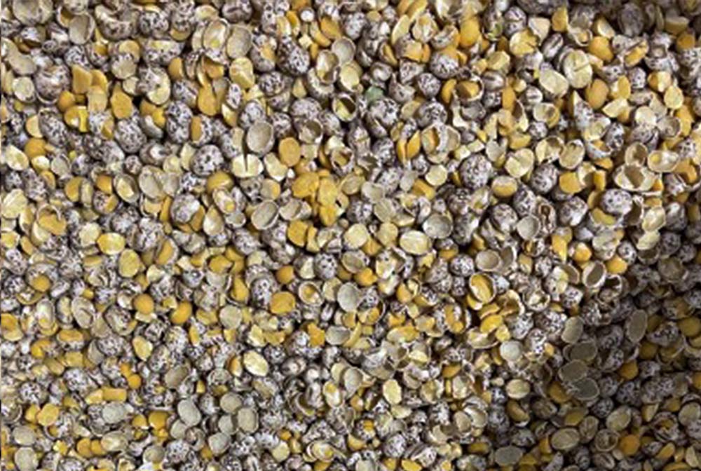 Hunters - Cracked Lupins 20kg