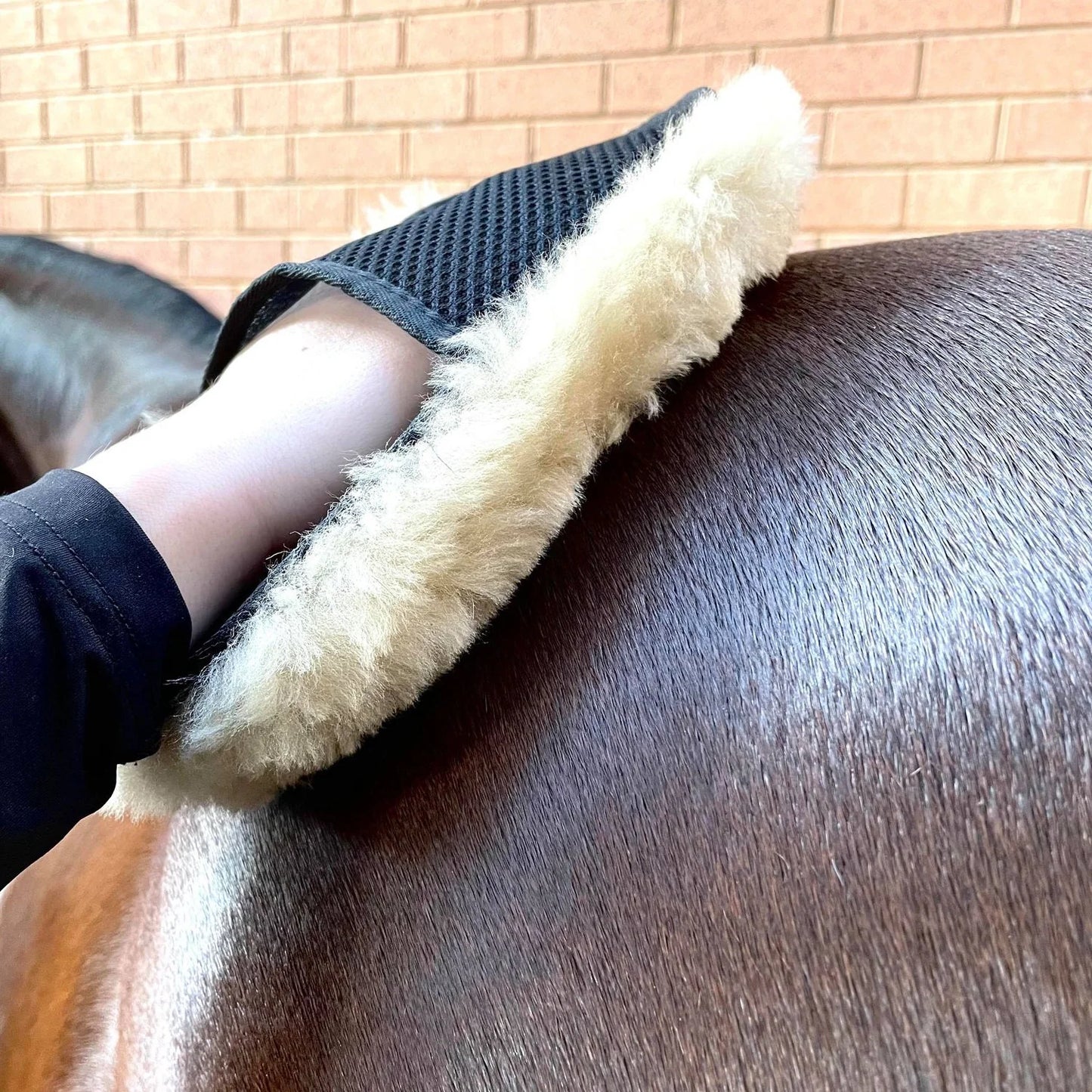 Hairy Pony - Merino Wool Horse Polishing Mitt