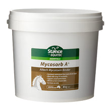 Stance Equitec - Mycosorb A+
