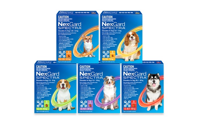 NexGard SPECTRA