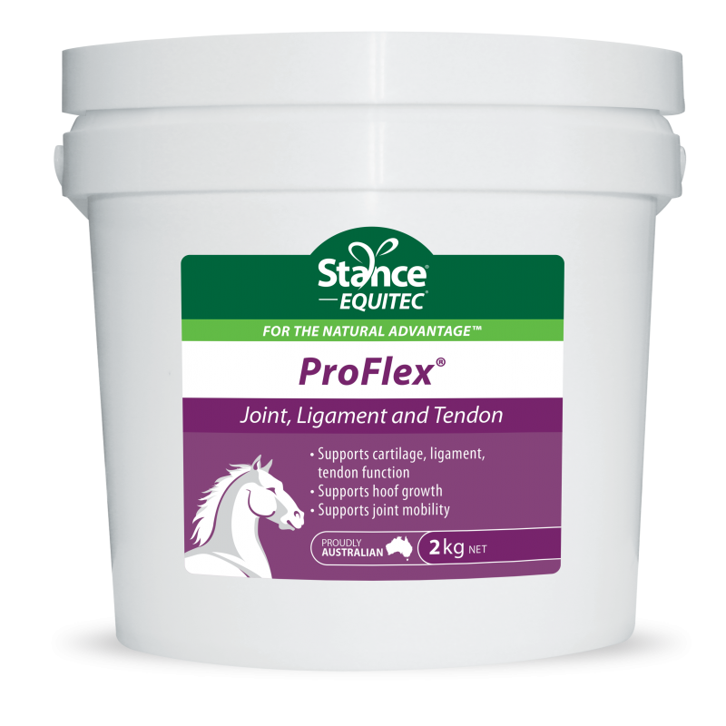 Stance Equitec - ProFlex