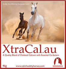 Calm Healthy Horses - XtraCal